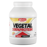 VEGETAL 100% PROTEIN - WHYSPORT